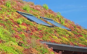 Cheshire living roof systems