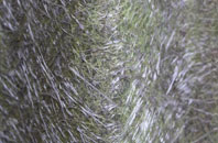 Cheshire fibreglass roof work